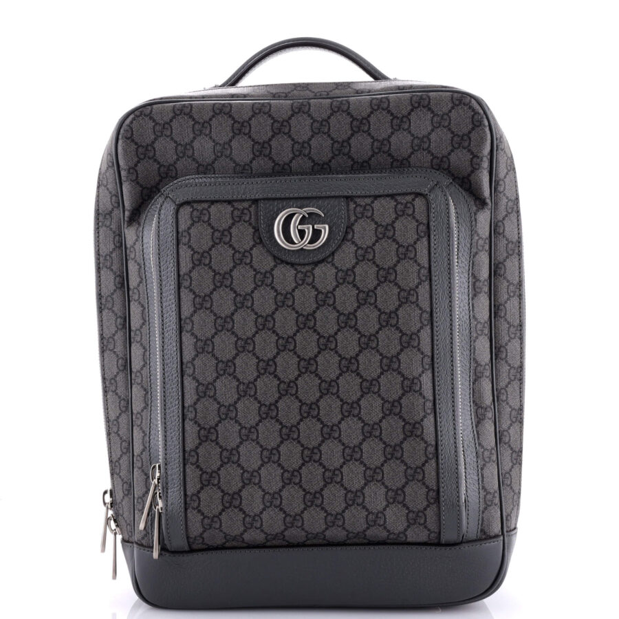 Gucci Ophidia bag – front view