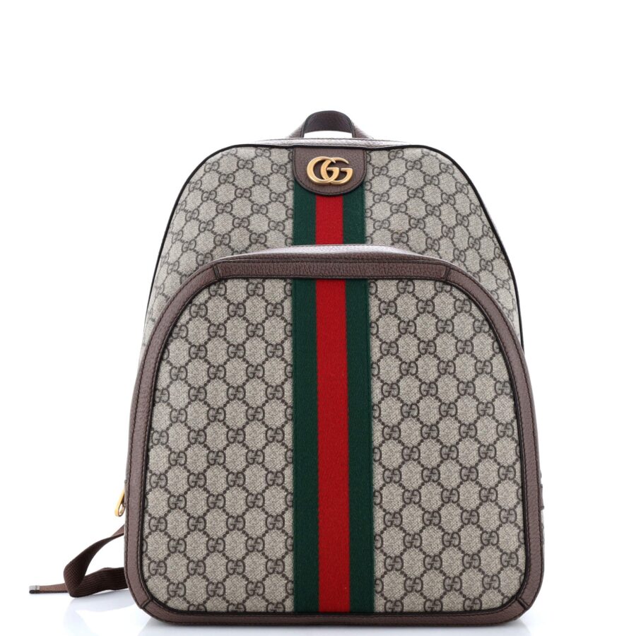 Gucci Ophidia bag – front view