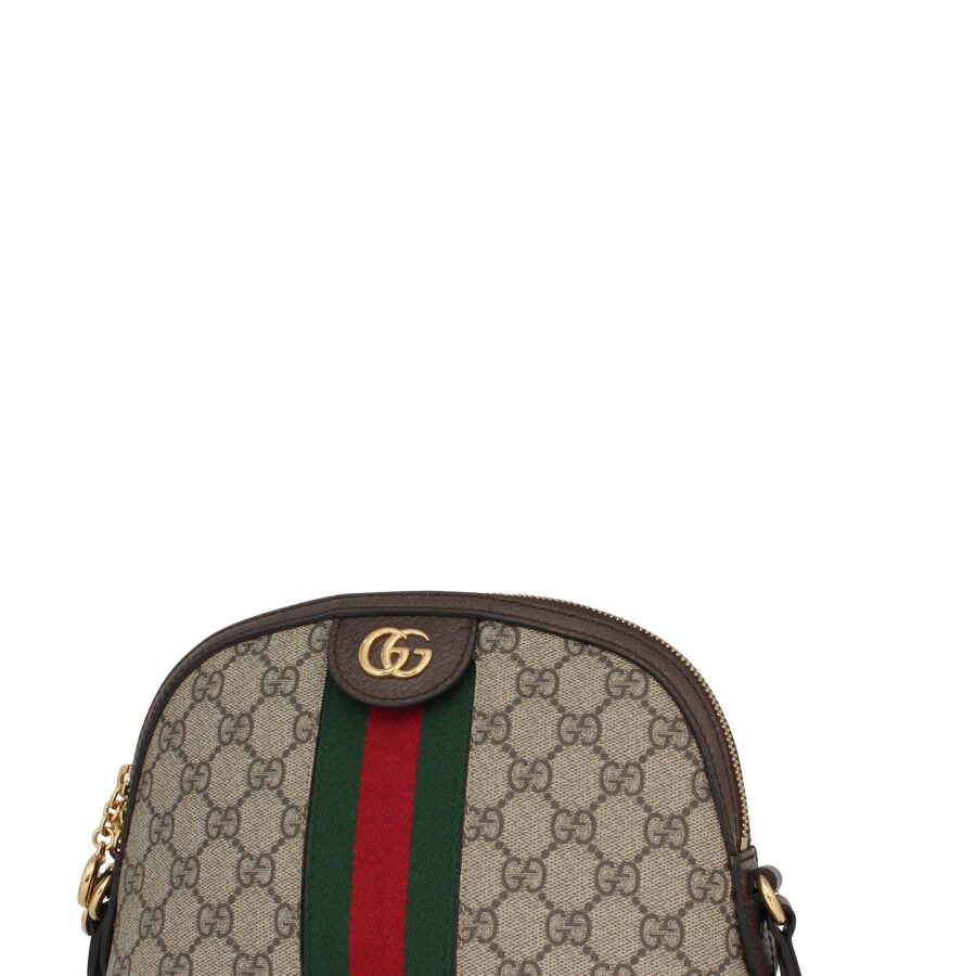 Gucci Ophidia brown bag – front view